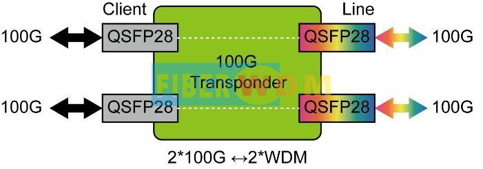 100G OEO