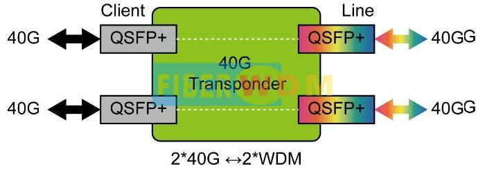 40G OEO