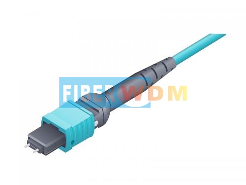 MPO Cable