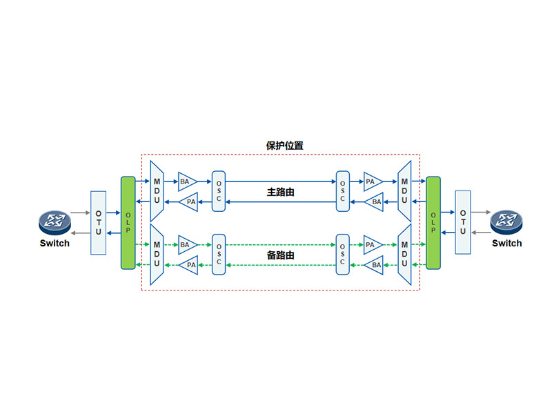 100G保护方案